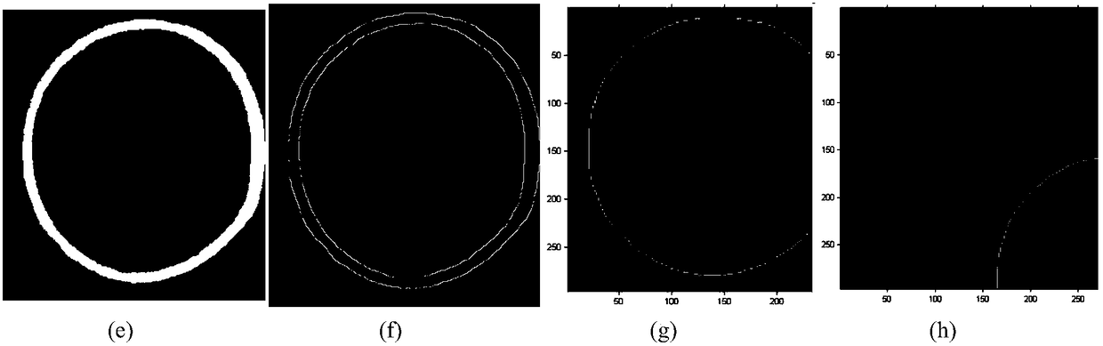 Method for determining large-plastic bending section profile curve of thin-walled pipe