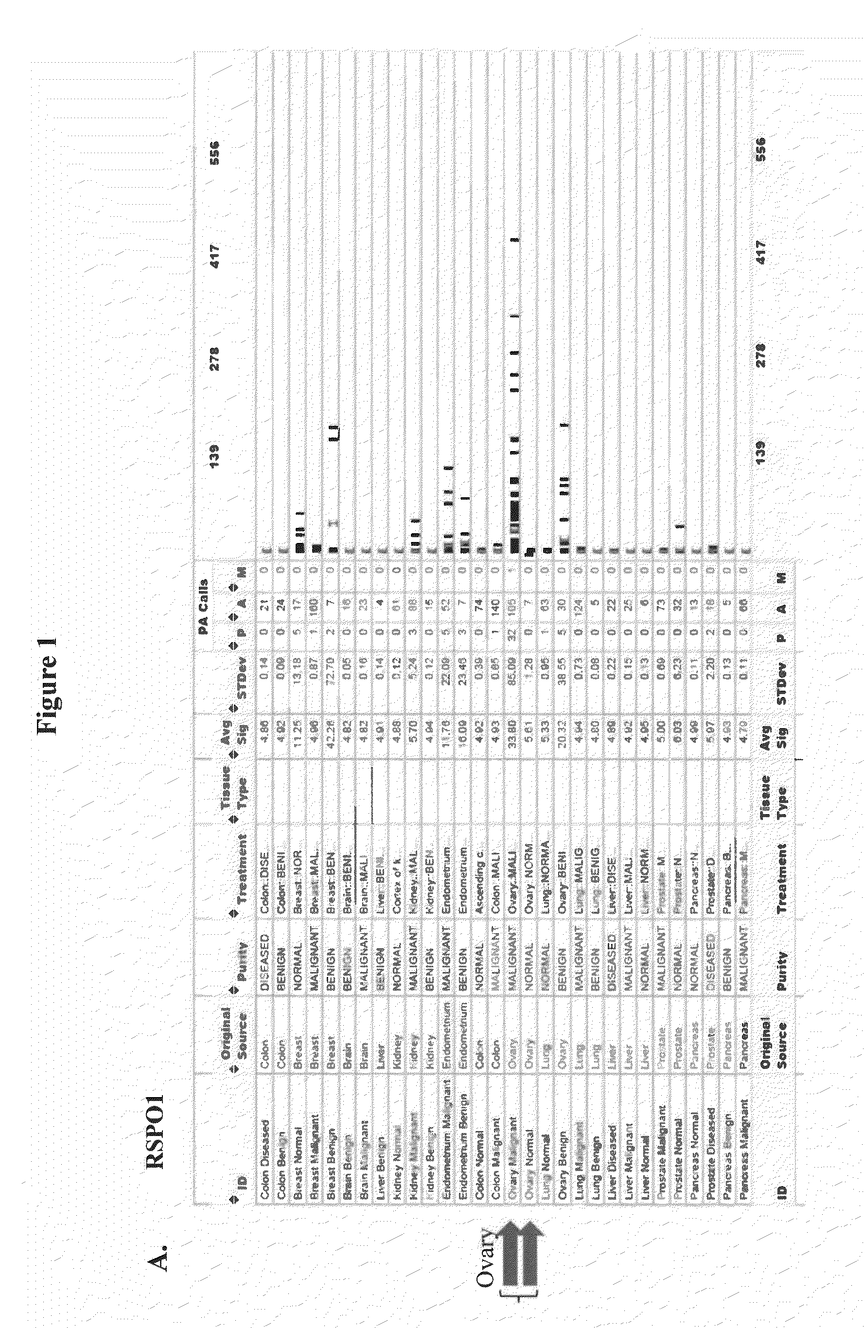 RSPO Binding Agents and Uses Thereof