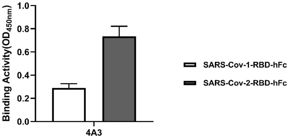 Neutralizing antibody against novel coronavirus sars-cov-2 and its application