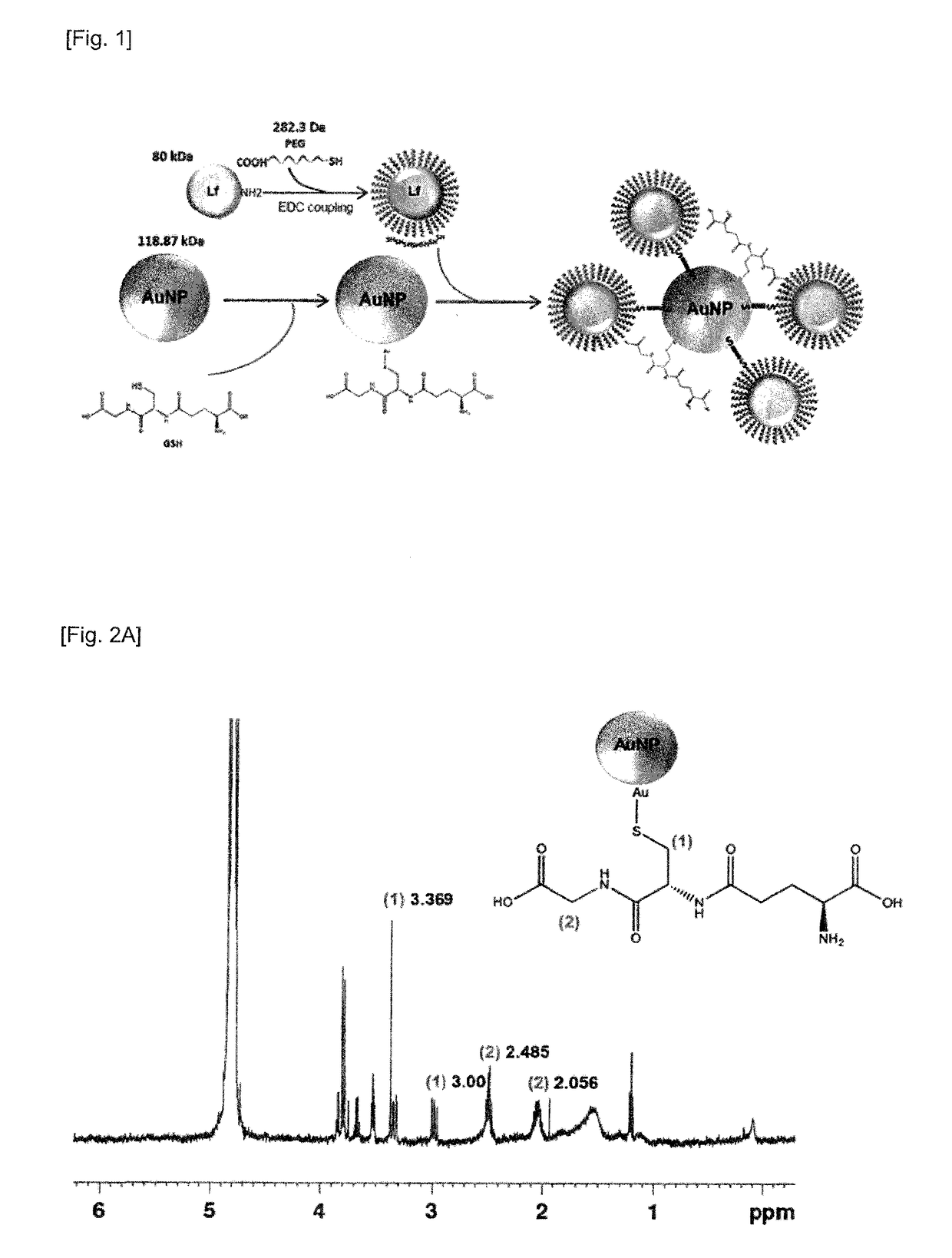 Lactoferrin-conjugated nanoparticle complex and use thereof