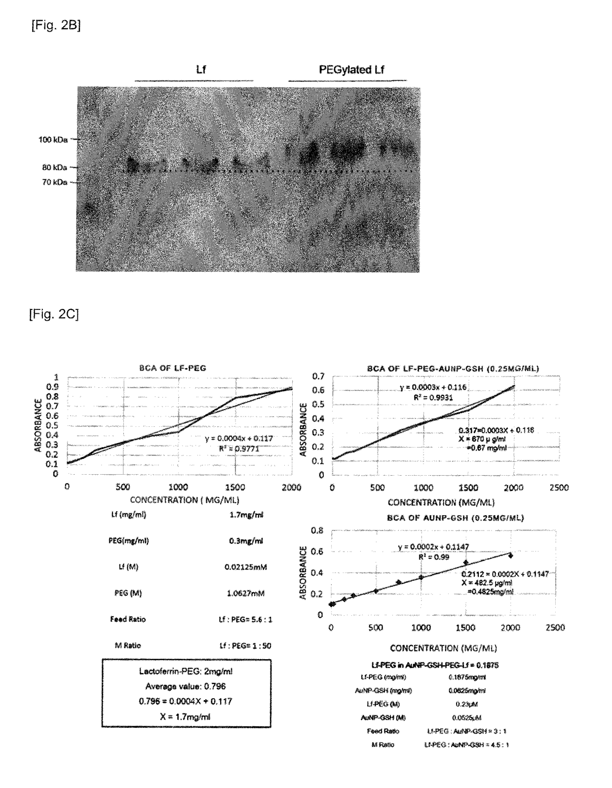 Lactoferrin-conjugated nanoparticle complex and use thereof