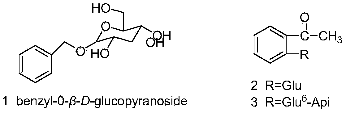 Preparation method and purpose of total phenolic acid in pithecellobium clypearia