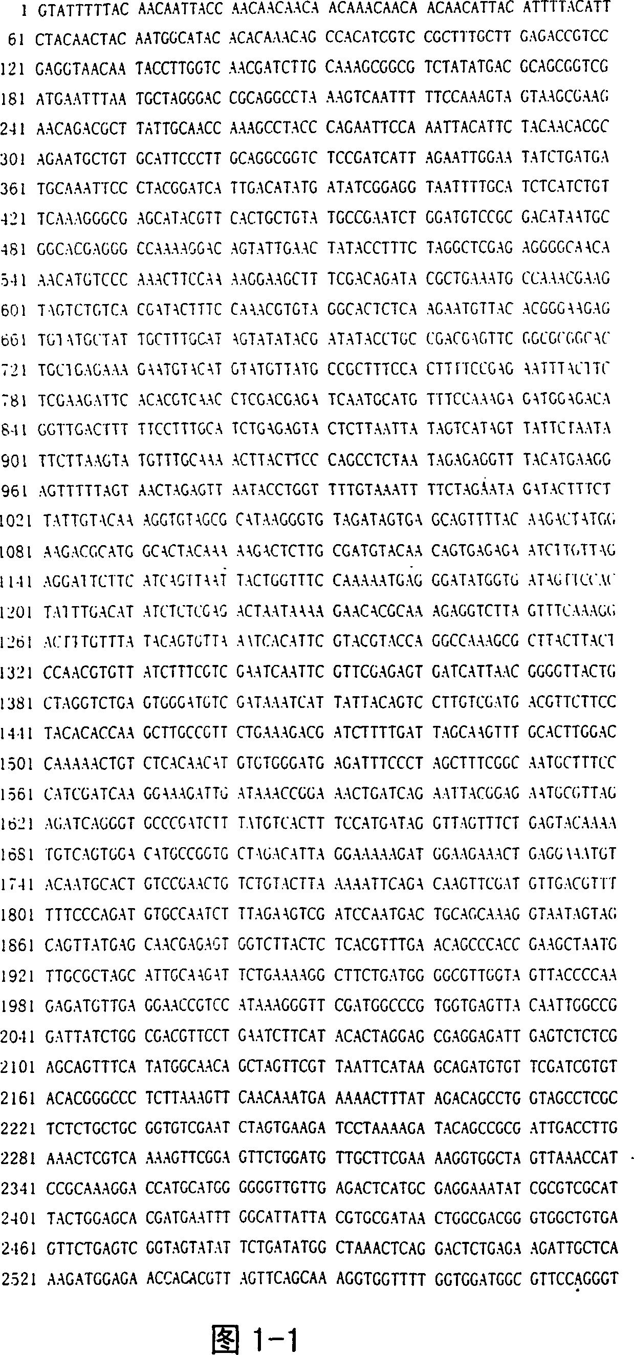 Low-virulent vaccine K genom sequence of tomato mosaic