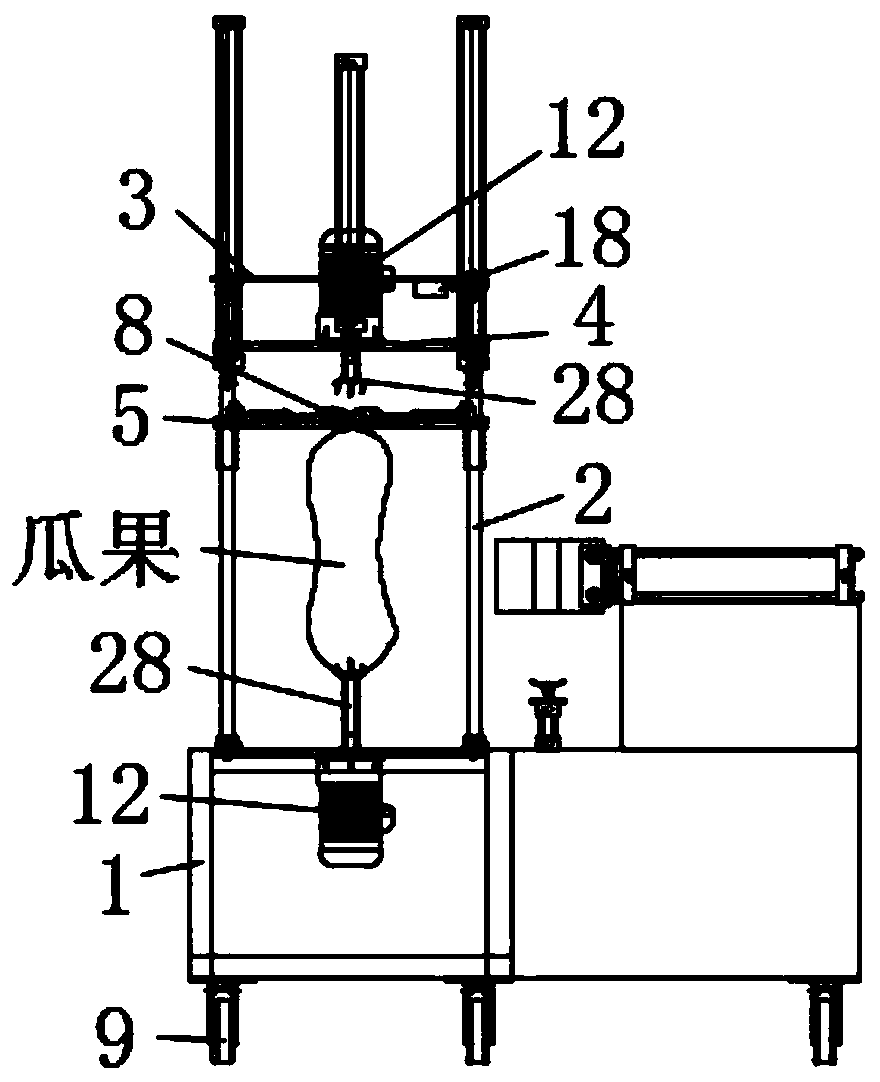 Linear moving type melon and fruit peeler