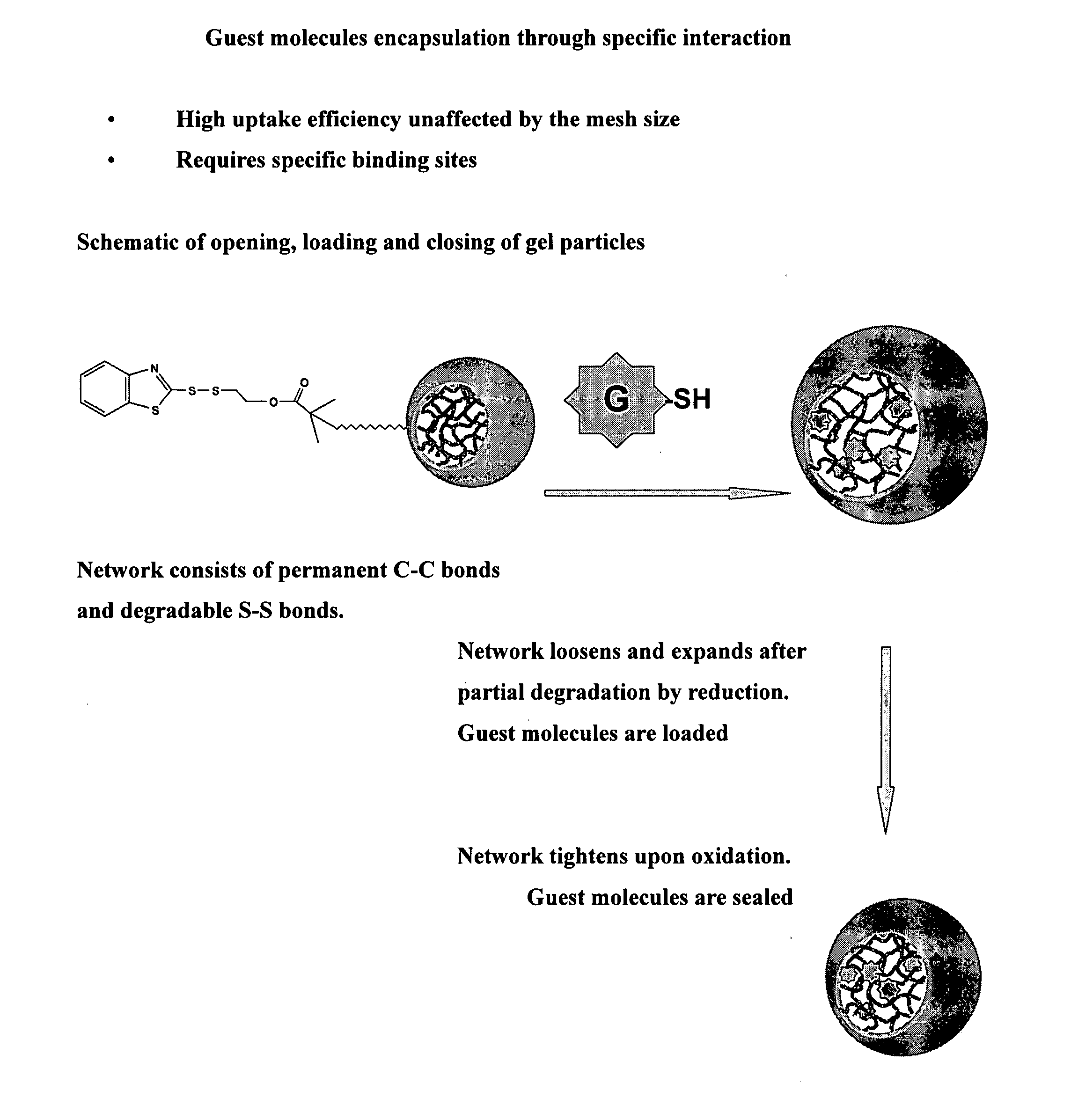 Preparation of functional gel particles with a dual crosslink network