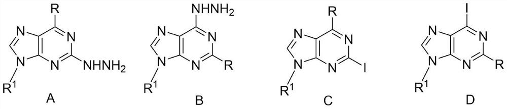 Method for synthesizing 2/6-iodo-purine derivative through visible light induced hydrazine removal-iodination reaction