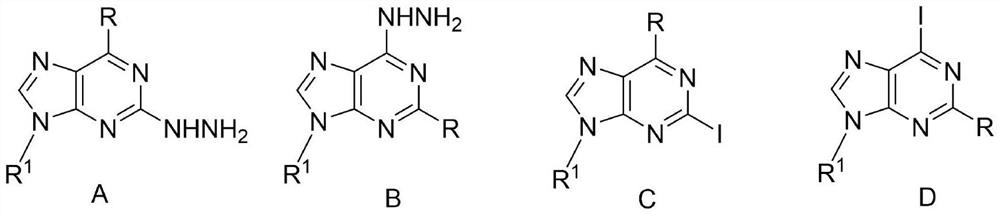 Method for synthesizing 2/6-iodo-purine derivative through visible light induced hydrazine removal-iodination reaction