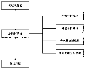 Food quality analysis and detection device