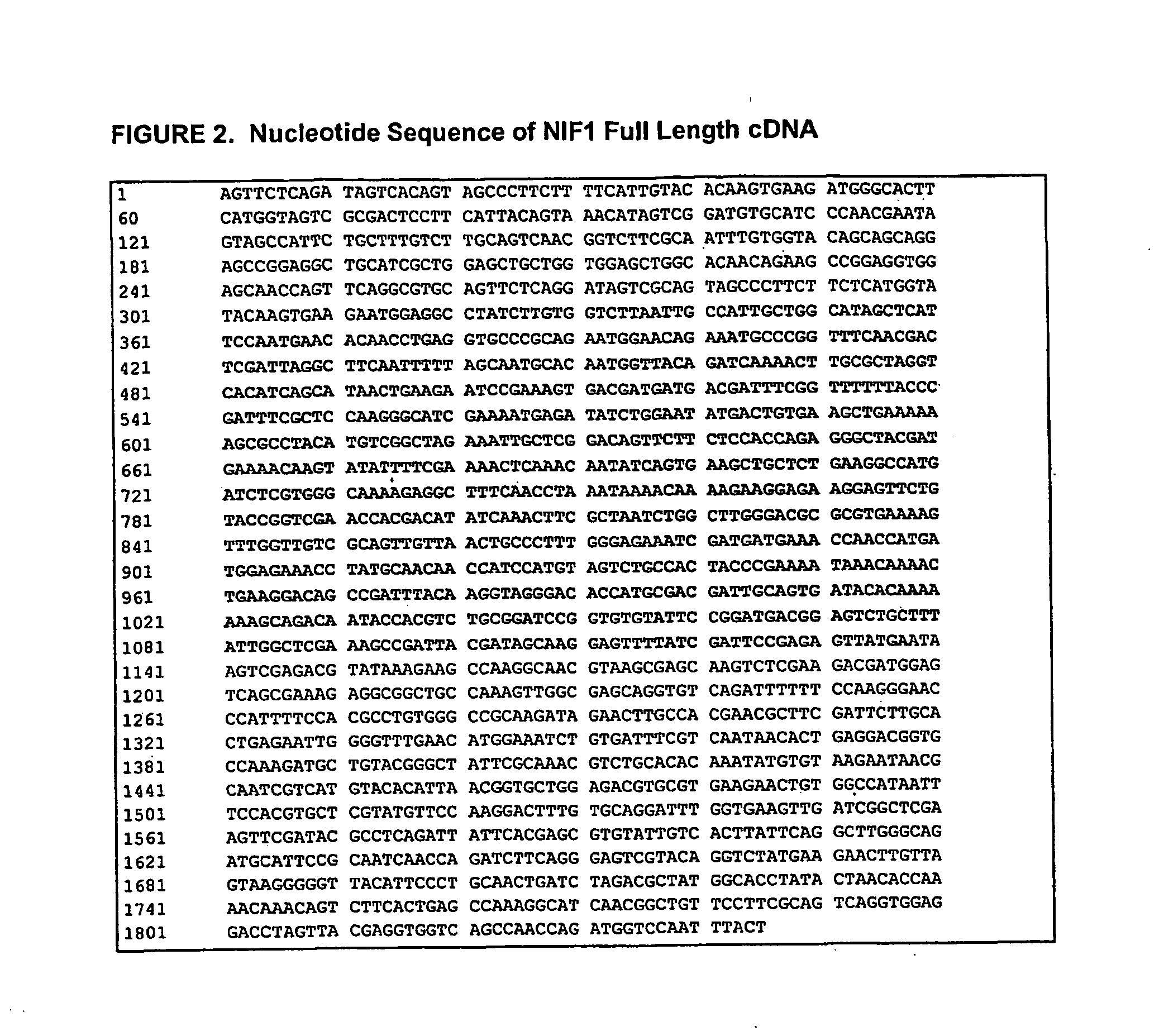 Process for the preparation of neutrophil inhibitory factor