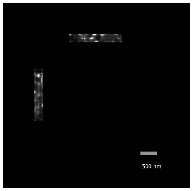 Array scanning super-resolution microscopic imaging device, method and equipment based on multiple signal classification algorithm and storage medium