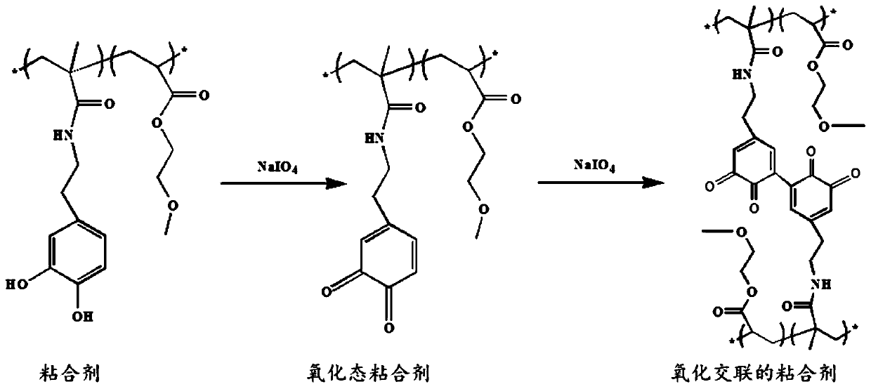 Mussel bionic binder-calcium phosphate high-strength bone repair material, high-strength composite CaP scaffold and preparation method thereof