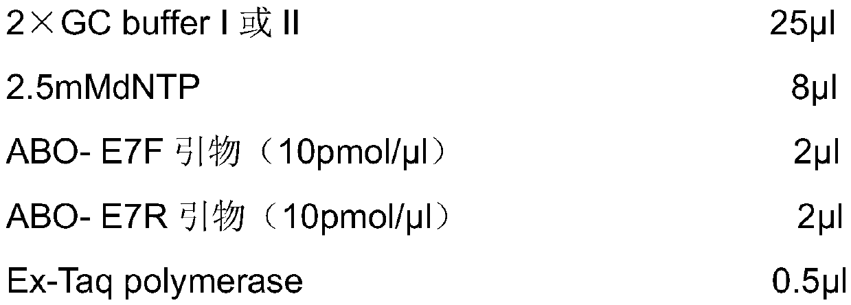 SNP (Single nucleotide polymorphism) site for detecting O-type variation of ABO blood group system