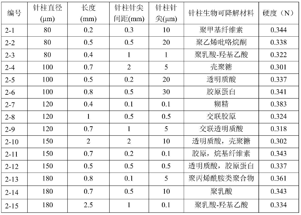 Sterile microstructure body and preparation method thereof