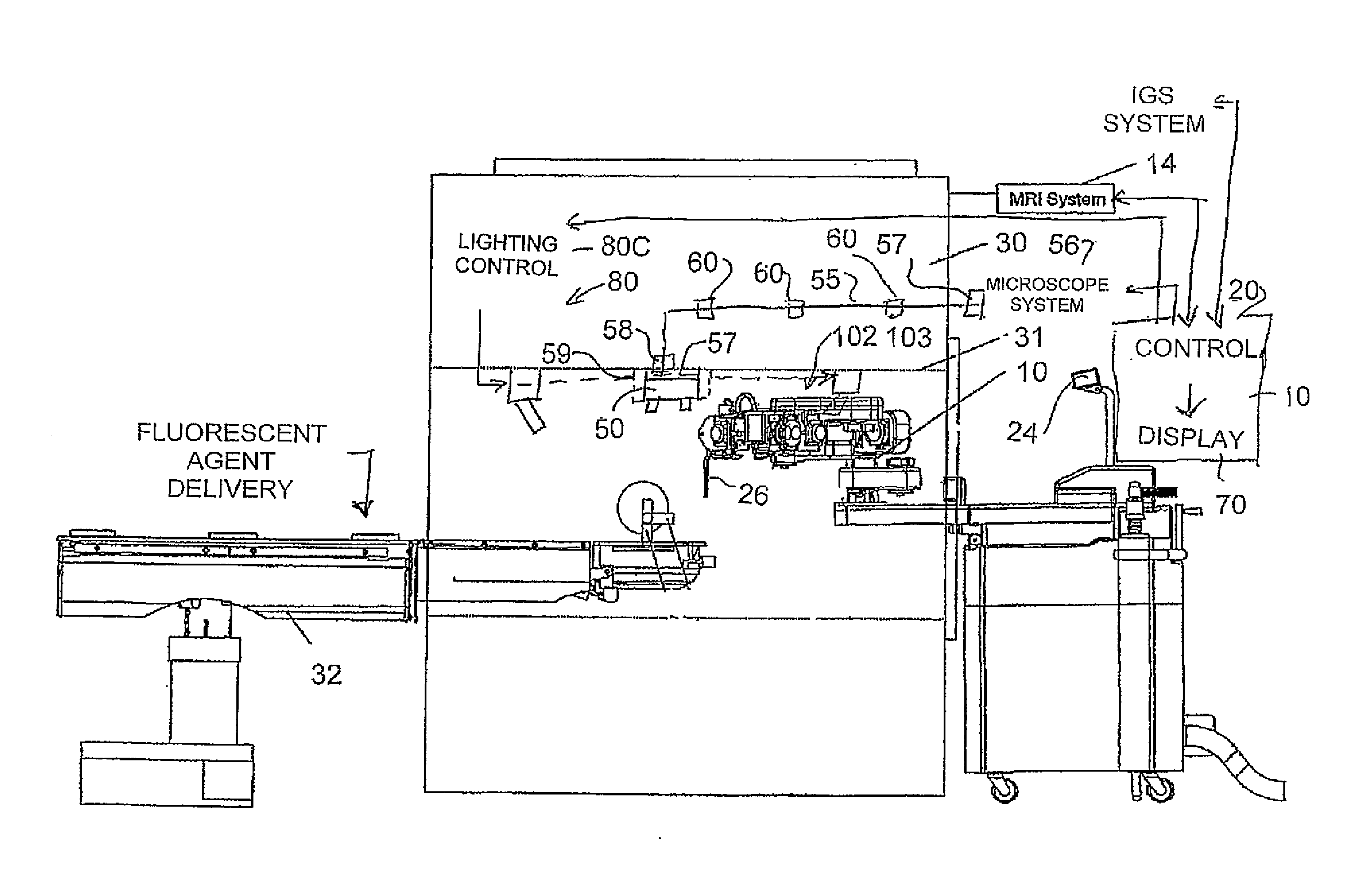 MR Compatible Fluorescence Viewing Device for Use in the Bore of an MR Magnet