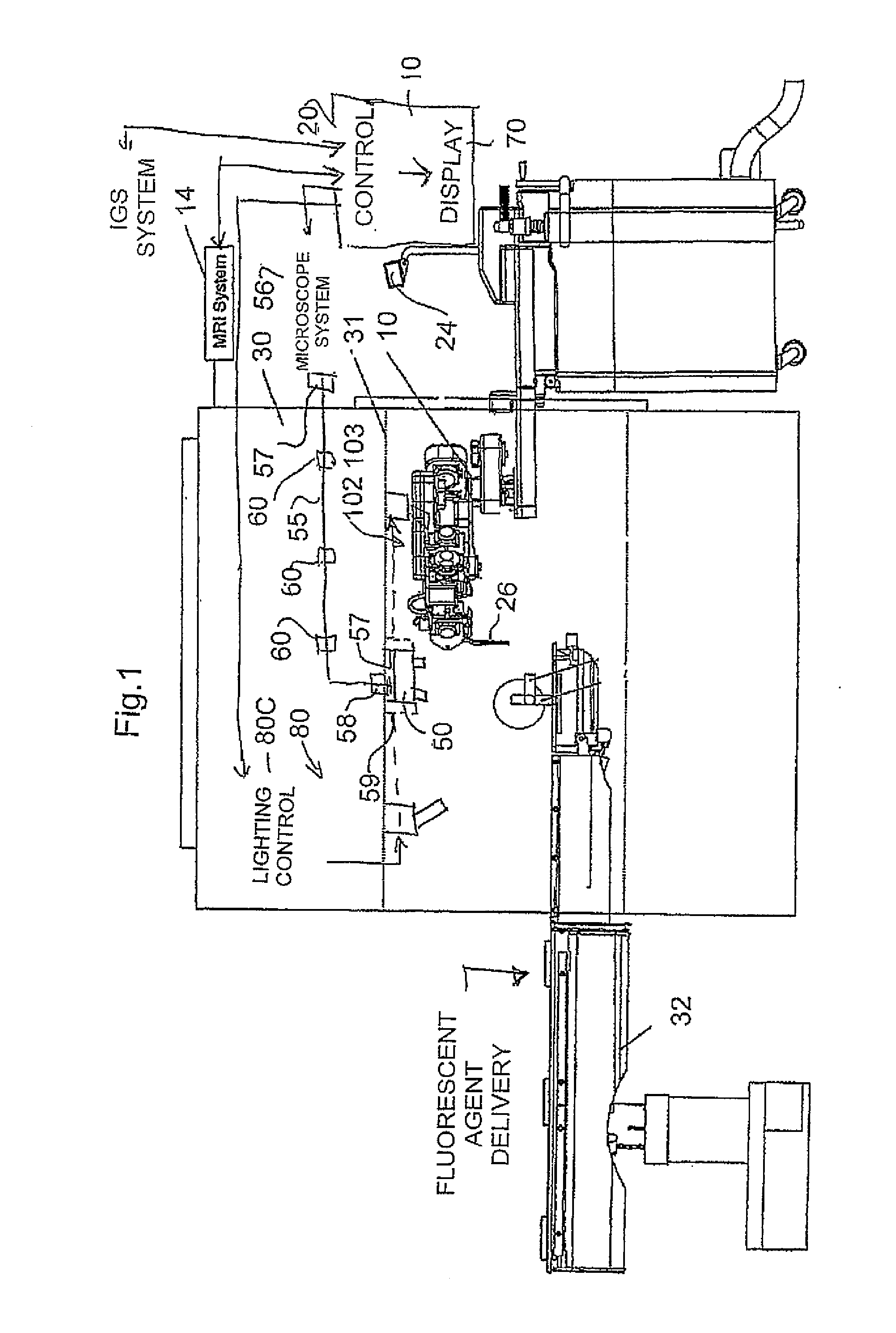 MR Compatible Fluorescence Viewing Device for Use in the Bore of an MR Magnet