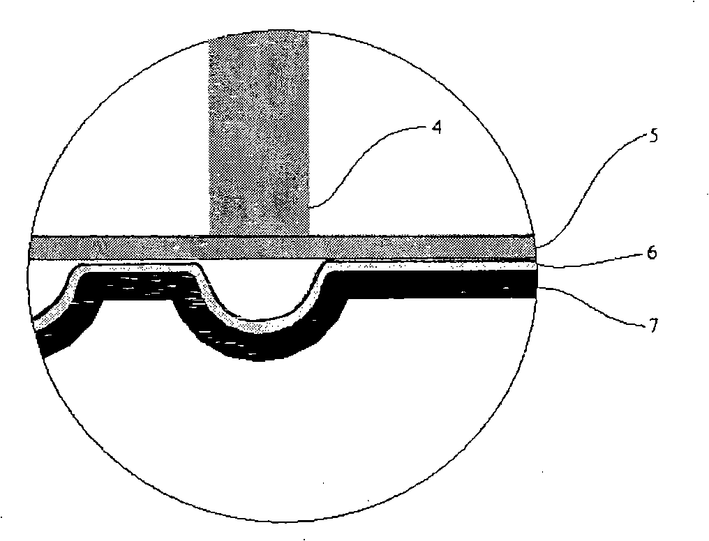 Pulse laser forming method and device of thin-wall corrugated tube