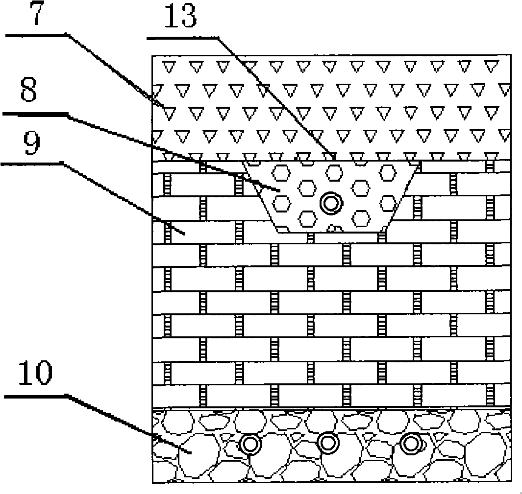 Device of individual type sewage drainage ecological treatment and method thereof