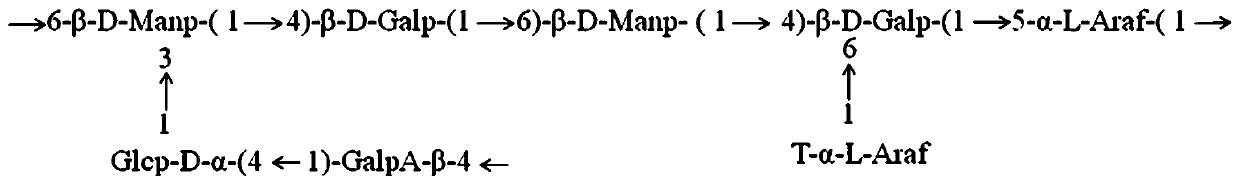 Mallotus furetianus homopolysaccharide as well as preparation method and application thereof