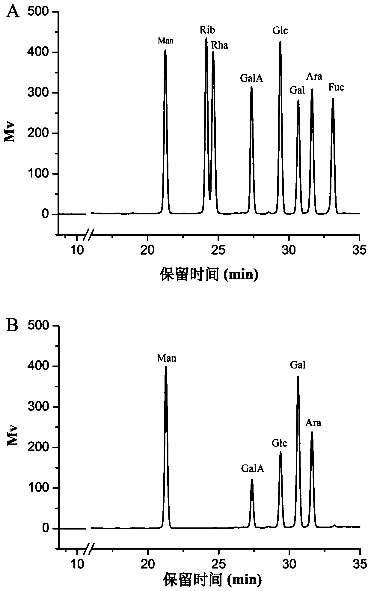 Mallotus furetianus homopolysaccharide as well as preparation method and application thereof