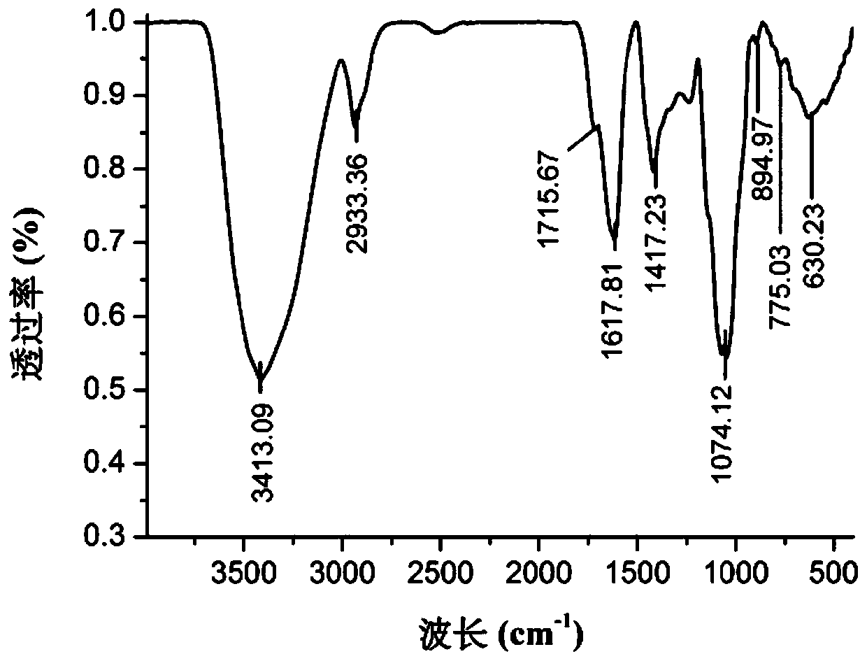 Mallotus furetianus homopolysaccharide as well as preparation method and application thereof