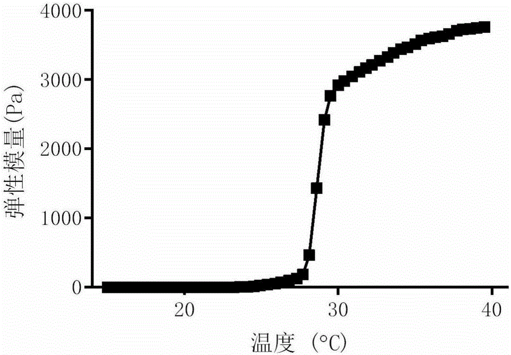 Gossypol acetate-containing thermosensitive gel preparation and preparation method and application thereof