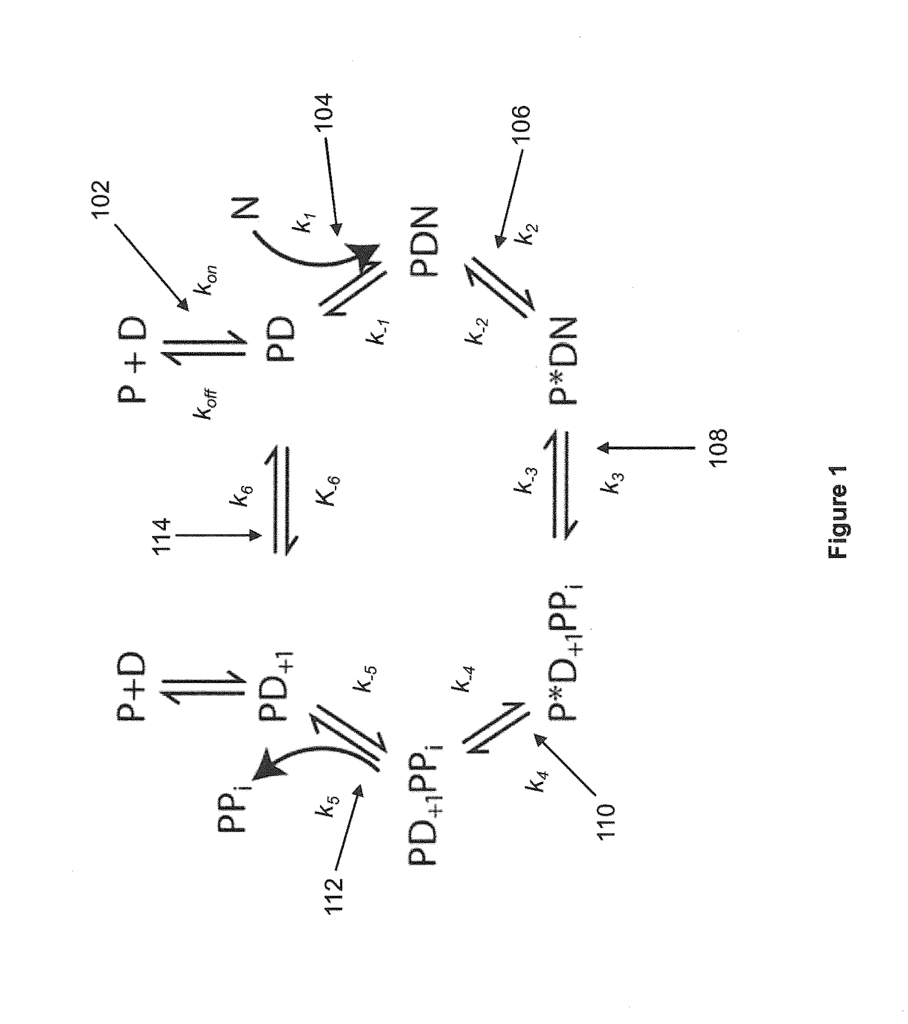 Sequencing reactions with alkali metal cations for pulse width control