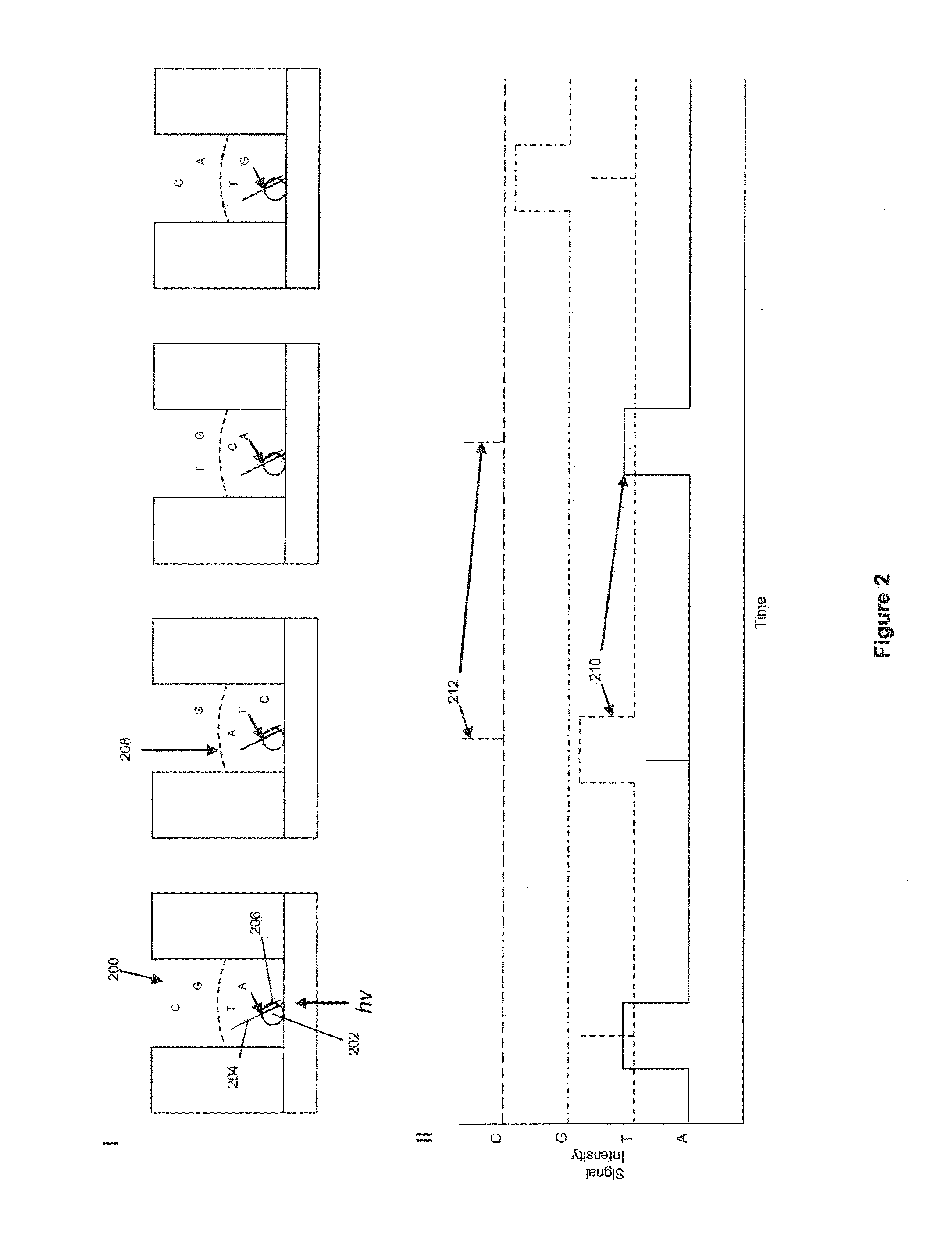 Sequencing reactions with alkali metal cations for pulse width control