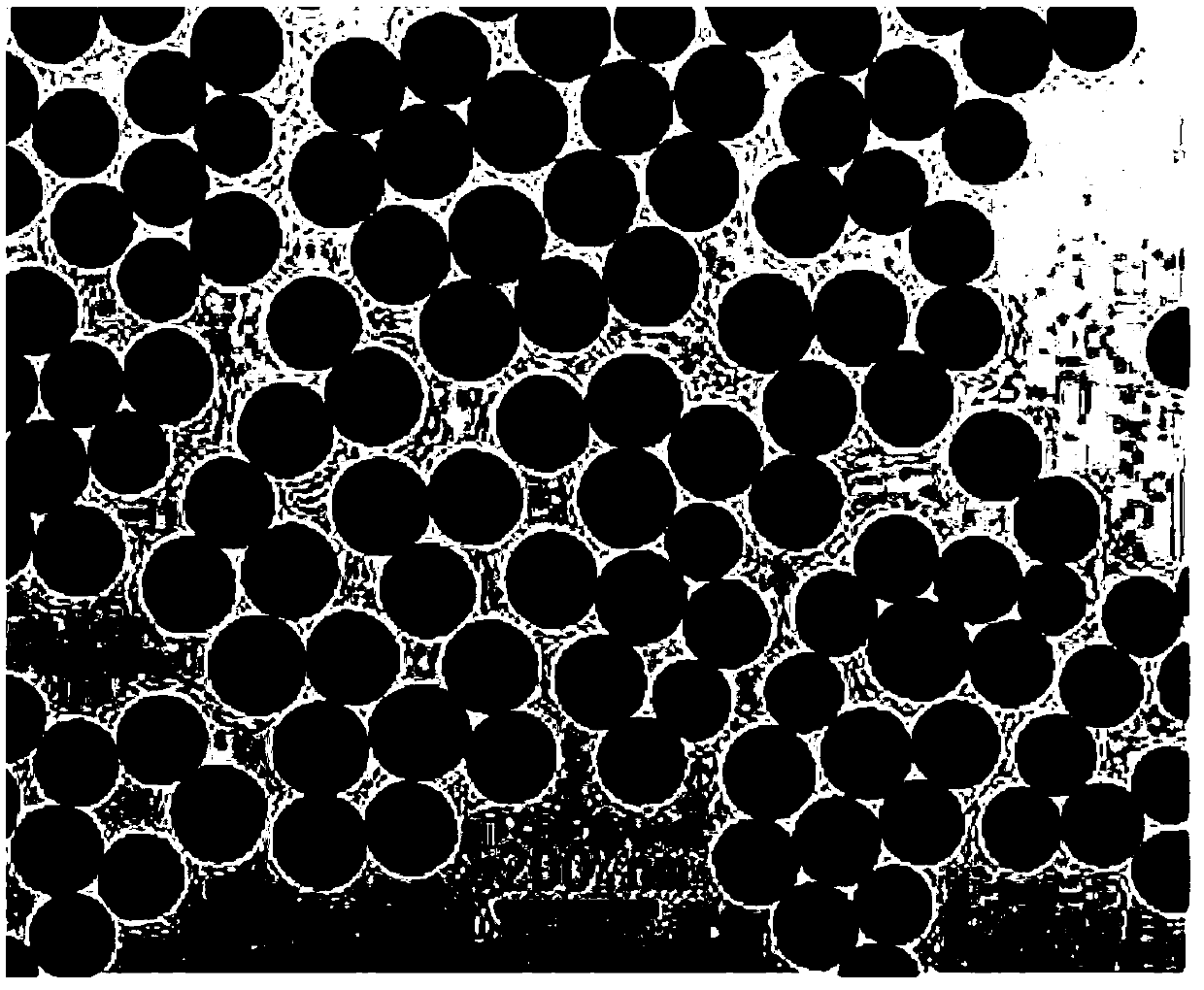 An electrochemical immunosensor based on DNA-functionalized nanocomposites