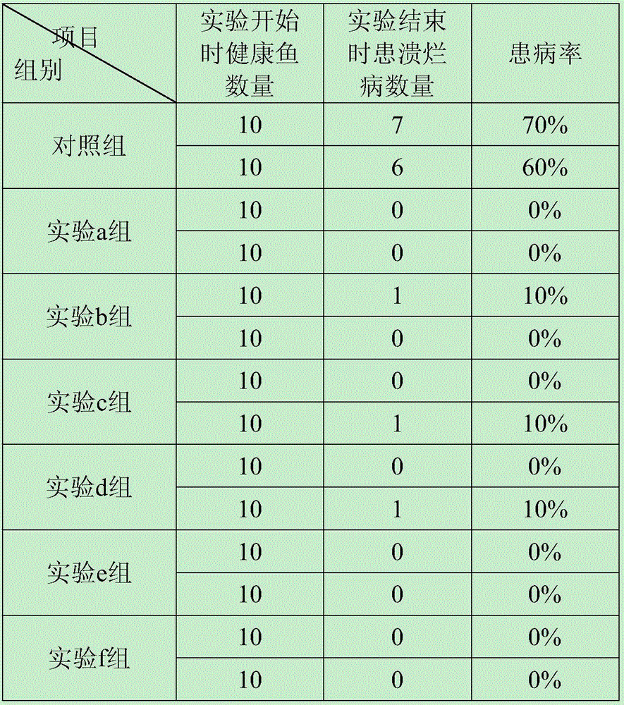 Compound preparation for preventing and treating fester disease of Epinephelus akaara and preparation method of compound preparation