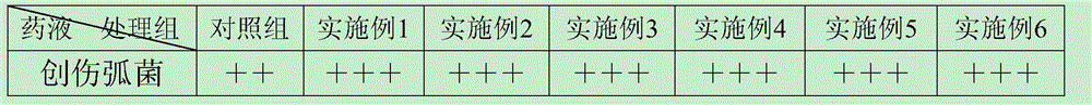 Compound preparation for preventing and treating fester disease of Epinephelus akaara and preparation method of compound preparation