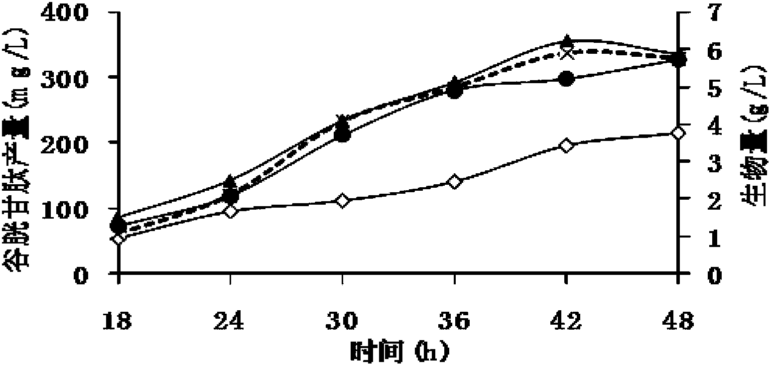 Polymorphic hansenula polymorpha mutant strain and application of polymorphic hansenula polymorpha mutant strain in glutathione biosynthesis