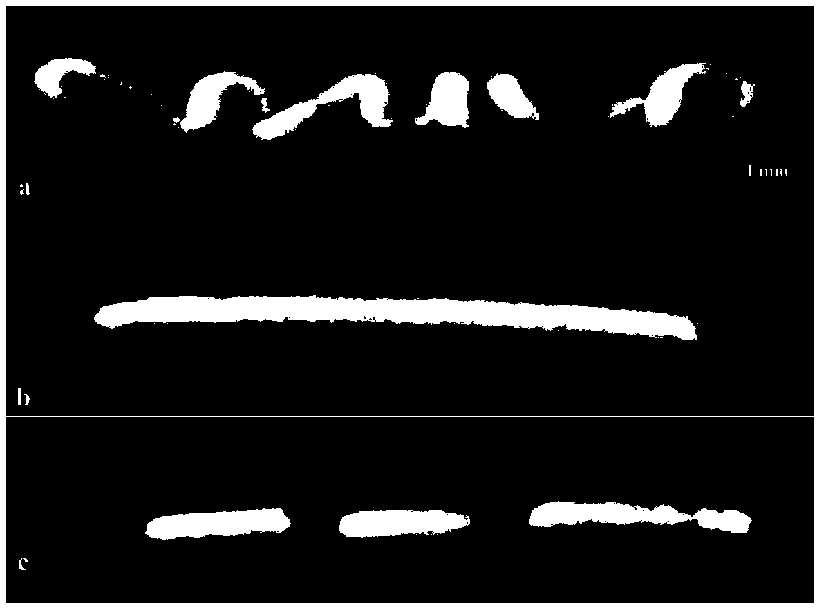 Preparation of instant milk protein gel and application thereof in 3D printing