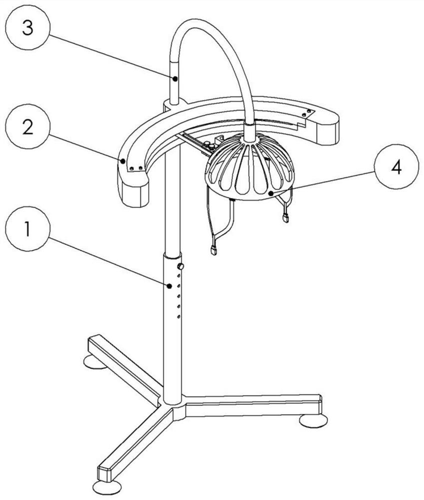 Transcranial magnetic stimulation head frame