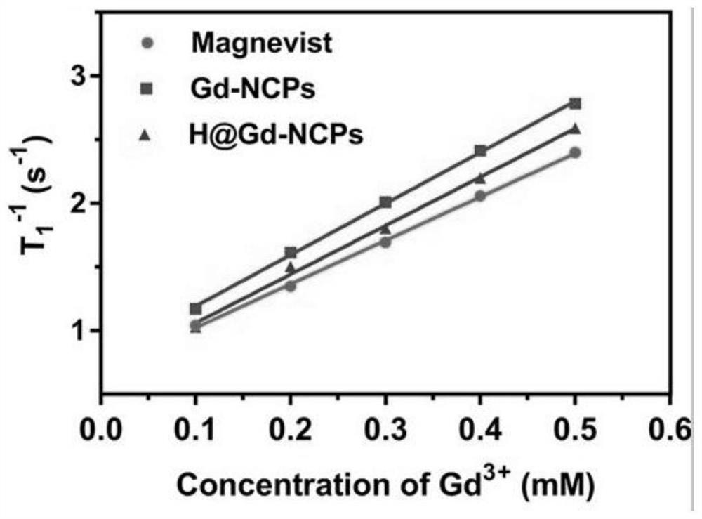 Application of a Nanoscale Coordination Polymer in Nuclear Magnetic Imaging