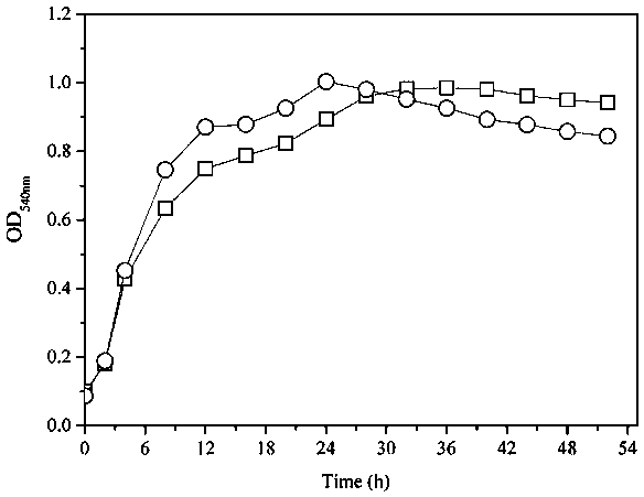 A method for joint treatment of strontium ion pollution by using montmorillonite-urea decomposing bacteria