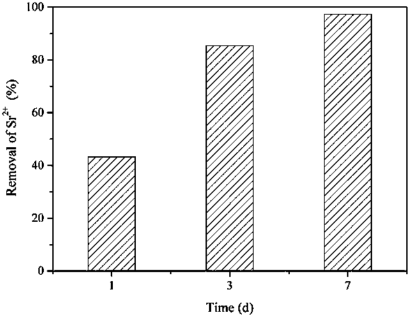 A method for joint treatment of strontium ion pollution by using montmorillonite-urea decomposing bacteria