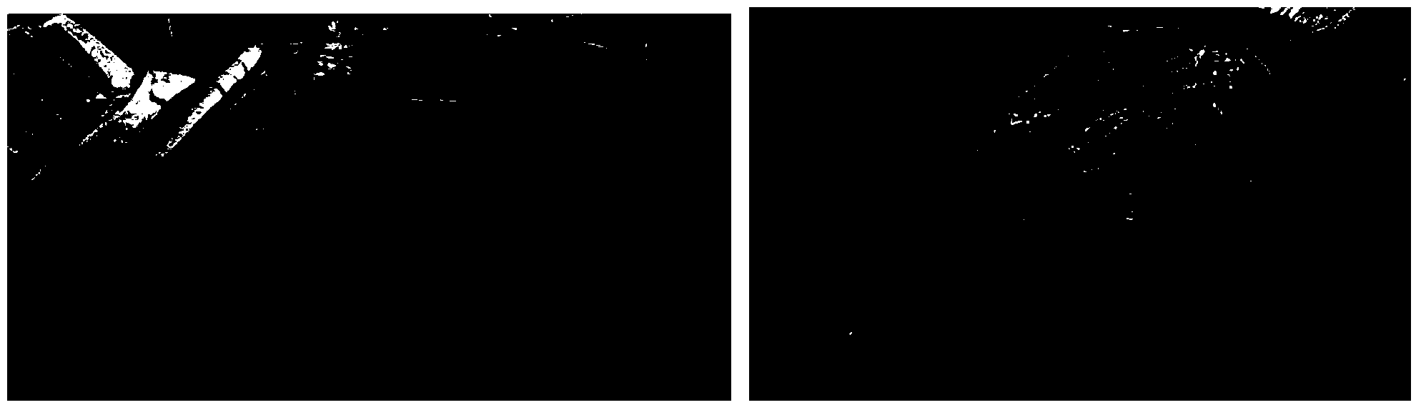 Method for promoting growth of parent seedlings in cold frames and suppressing seedling emergence of seeds falling to ground