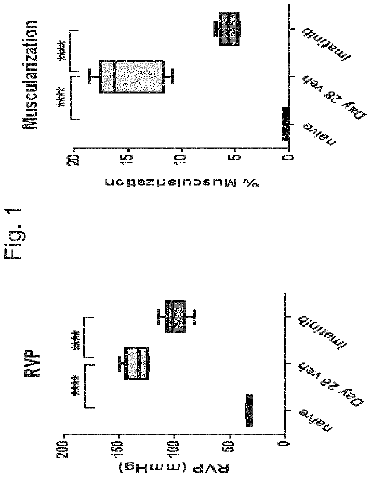 Pulmonary hypertension biomarker