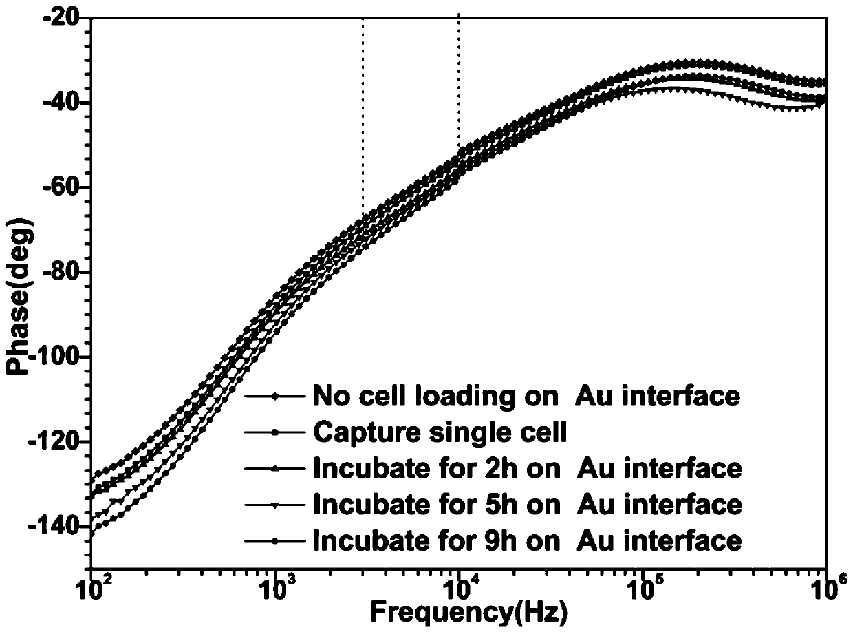 A microfluidic chip with three-dimensional graphene interface and its preparation method