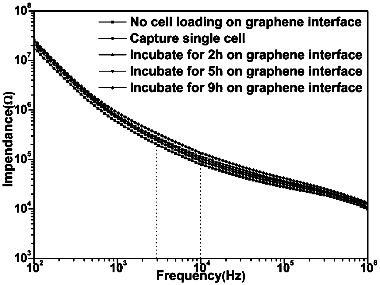 A microfluidic chip with three-dimensional graphene interface and its preparation method