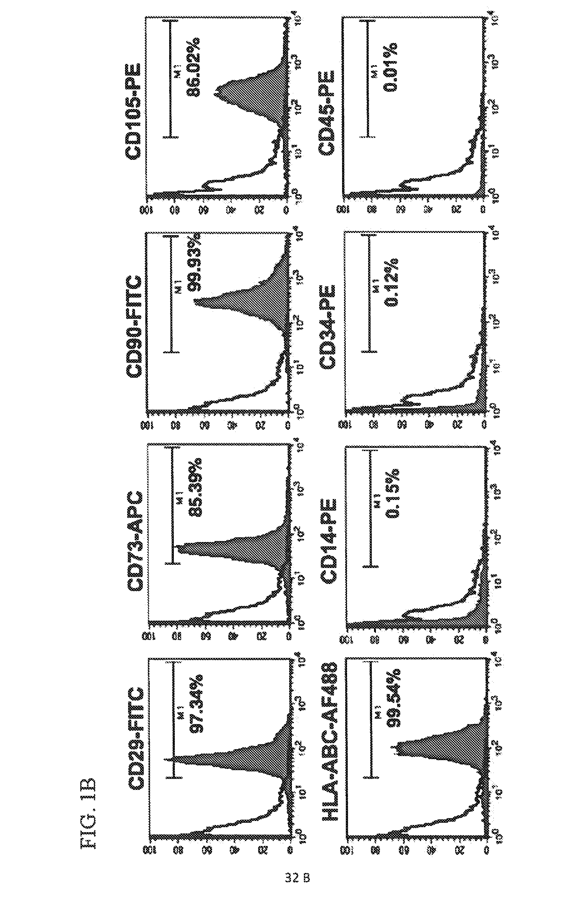 Method for generating cancer stem cells from immortalized cell lines