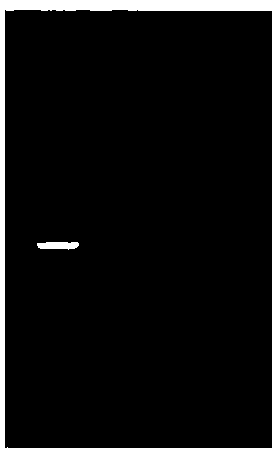 A kind of root-knot nematode effector gene mj-1-1, related protein and application thereof