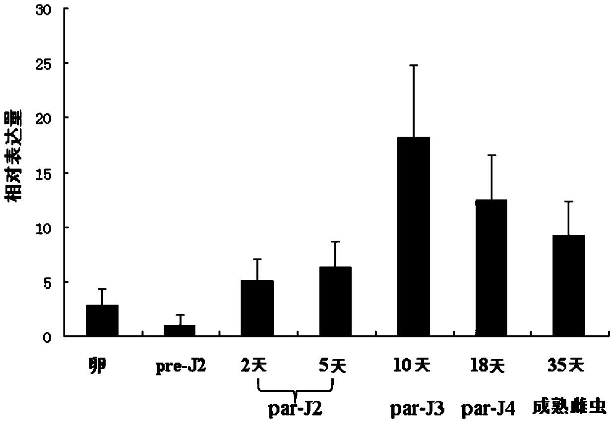 A kind of root-knot nematode effector gene mj-1-1, related protein and application thereof