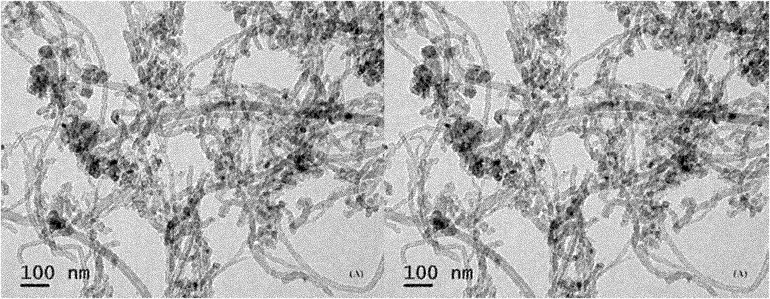 Catalyst for generating hydrogen by visible light photocatalytic reduction of water, and preparation method thereof