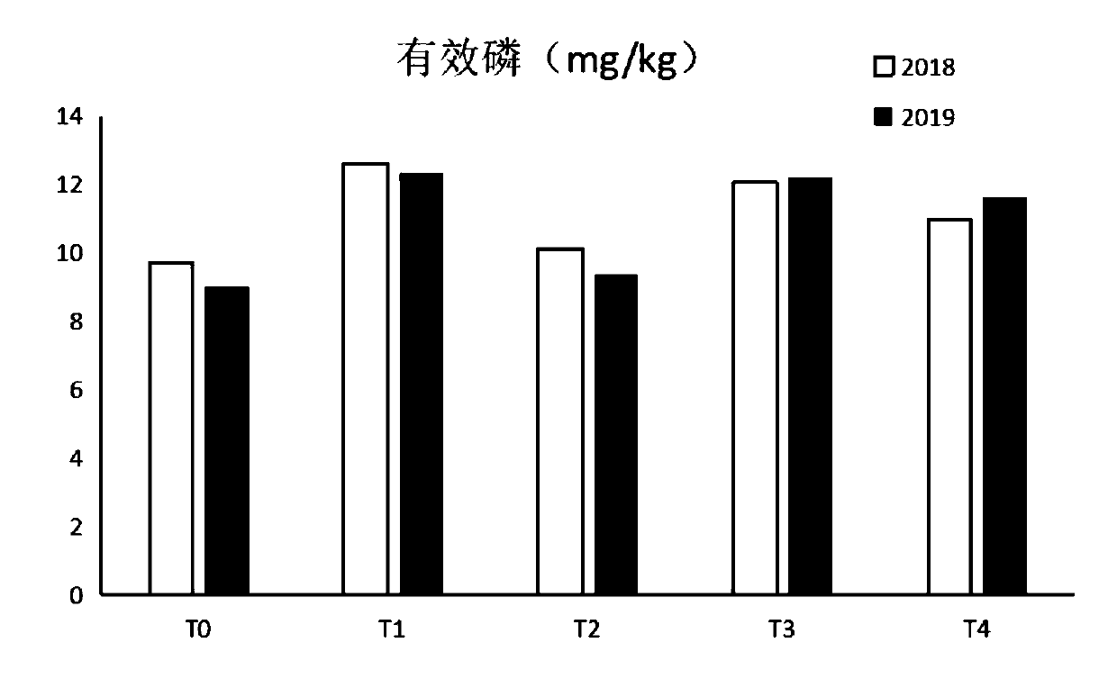 Soil conditioner for promoting water and fertilizer retention of aeolian sandy soil and using method of soil conditioner