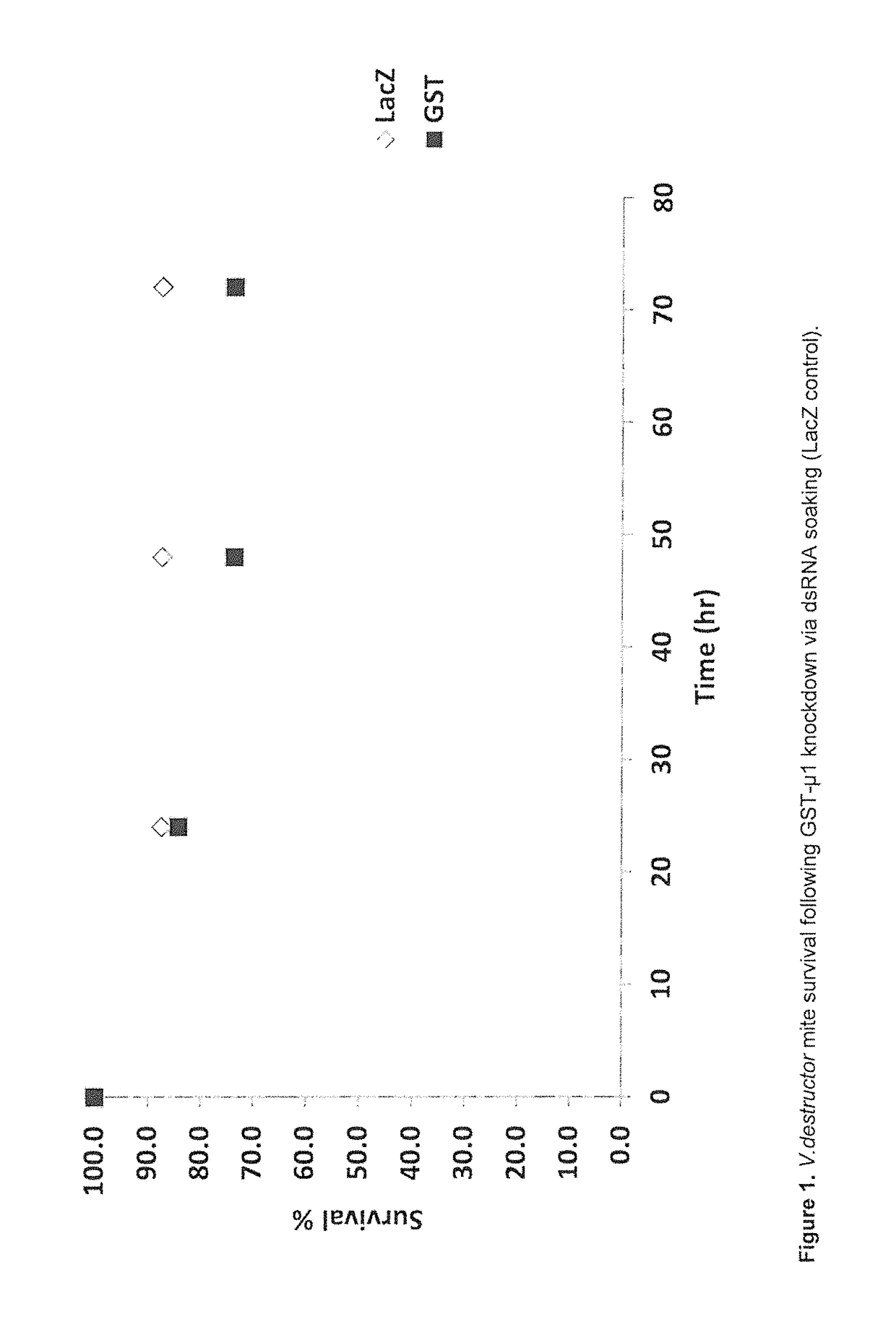 Control of Varroa mite infestation