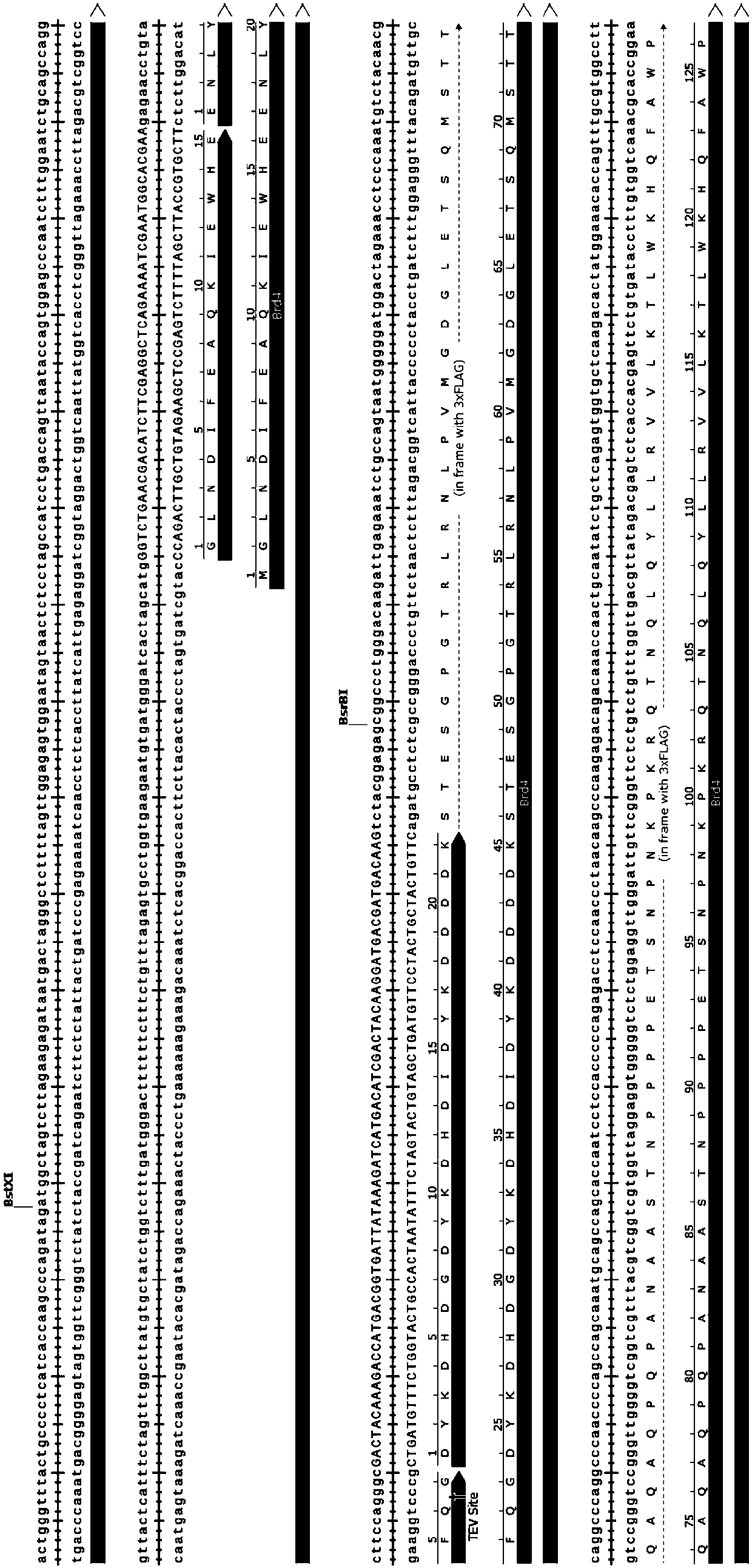 High-throughput protein analysis method and applicable library thereof