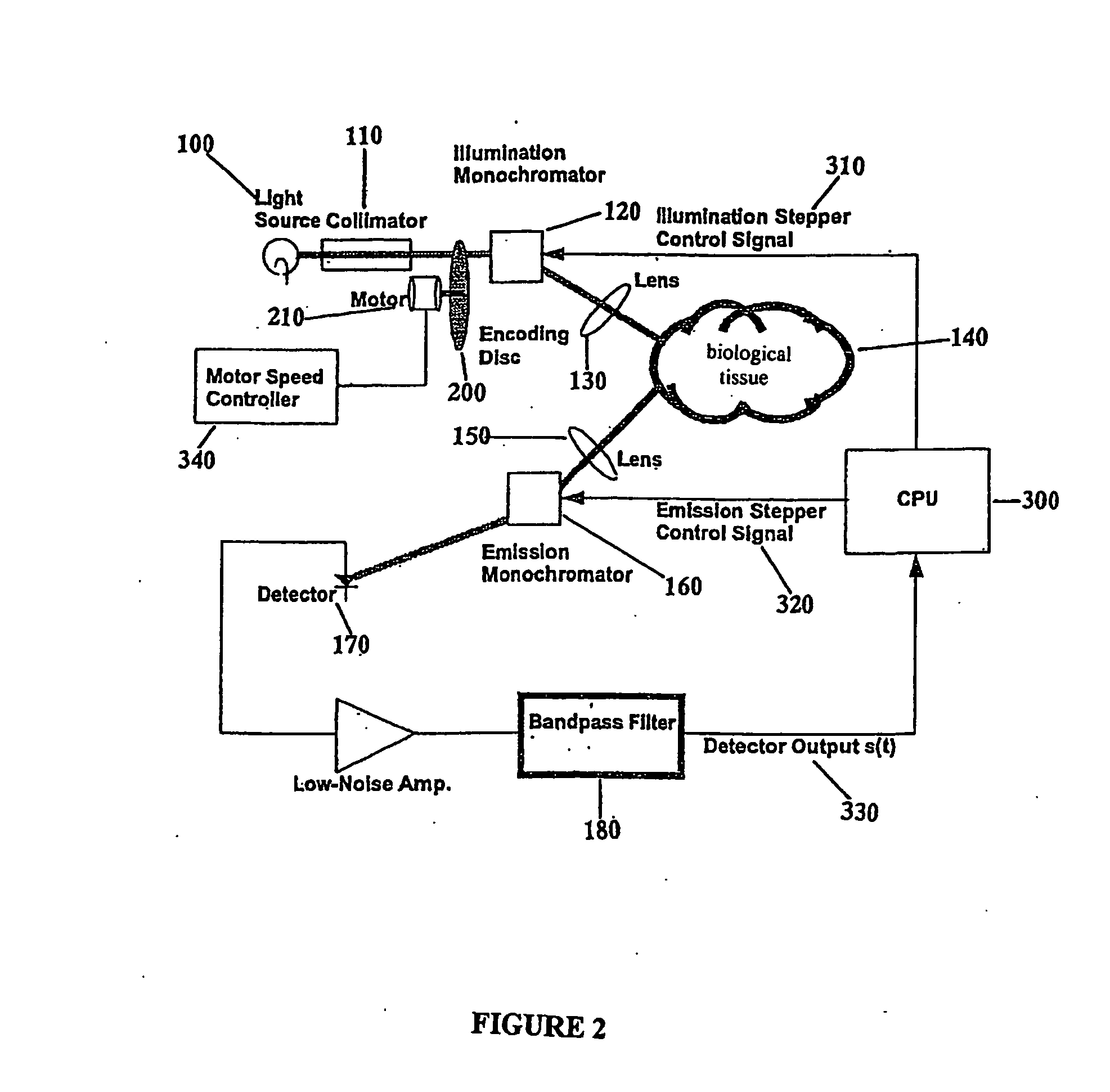 Optical system and use thereof for detecting patterns in biological tissue