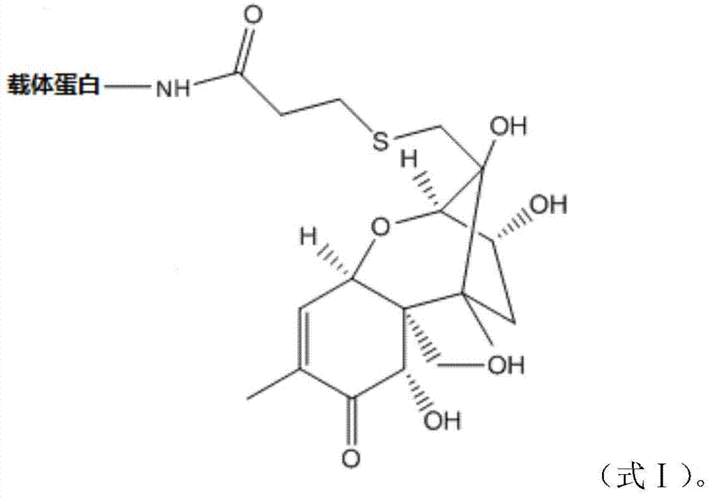 A kind of immunomagnetic beads for enrichment and purification of vomitoxin and its preparation method and application