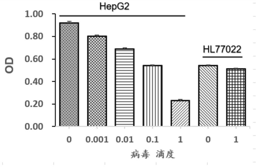 Virus construct for treating liver cancer as well as application and construction method thereof